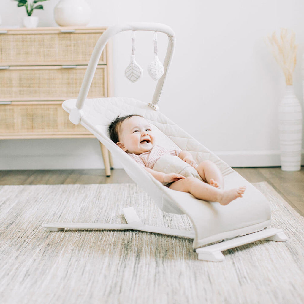 Baby Delight Alpine Deluxe Portable Baby Bouncer, for Infants 0-6 Months, Organic Oat
