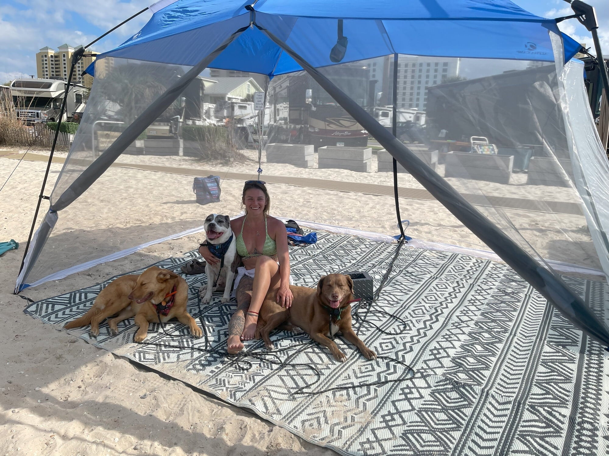 Alpha Camper 13' x 9' Screen House Canopy Sun Shade with One Room, Blue