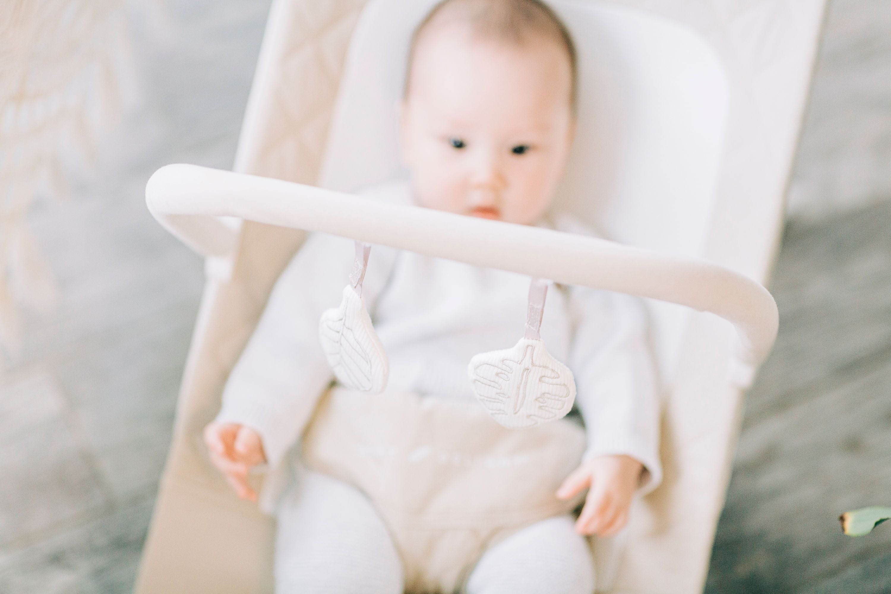 Baby Delight Alpine Deluxe Portable Baby Bouncer, for Infants 0-6 Months, Organic Oat