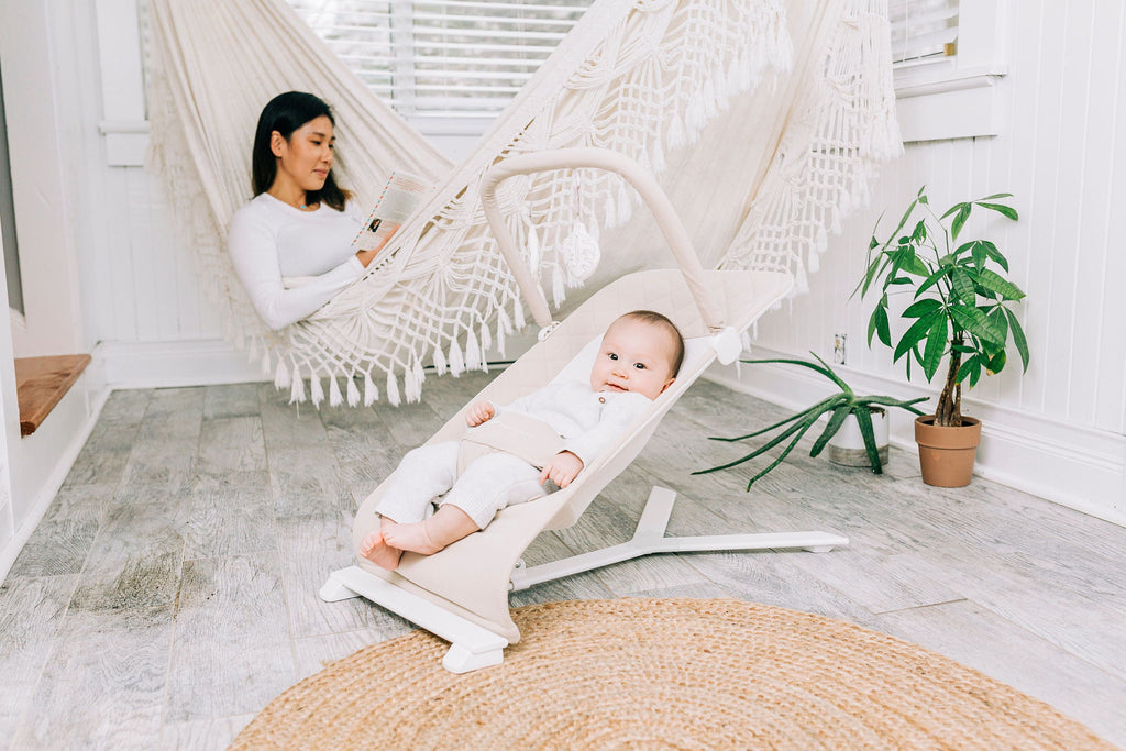 Baby Delight Alpine Deluxe Portable Baby Bouncer, for Infants 0-6 Months, Organic Oat