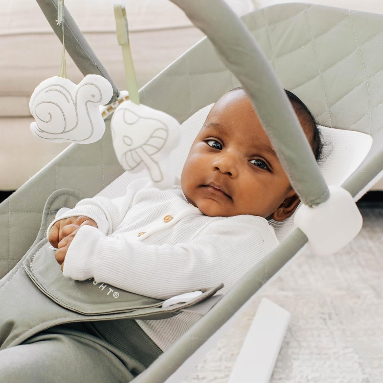 Baby Delight Alpine Deluxe Portable Baby Bouncer, for Infants 0-6 Months, Organic Oat