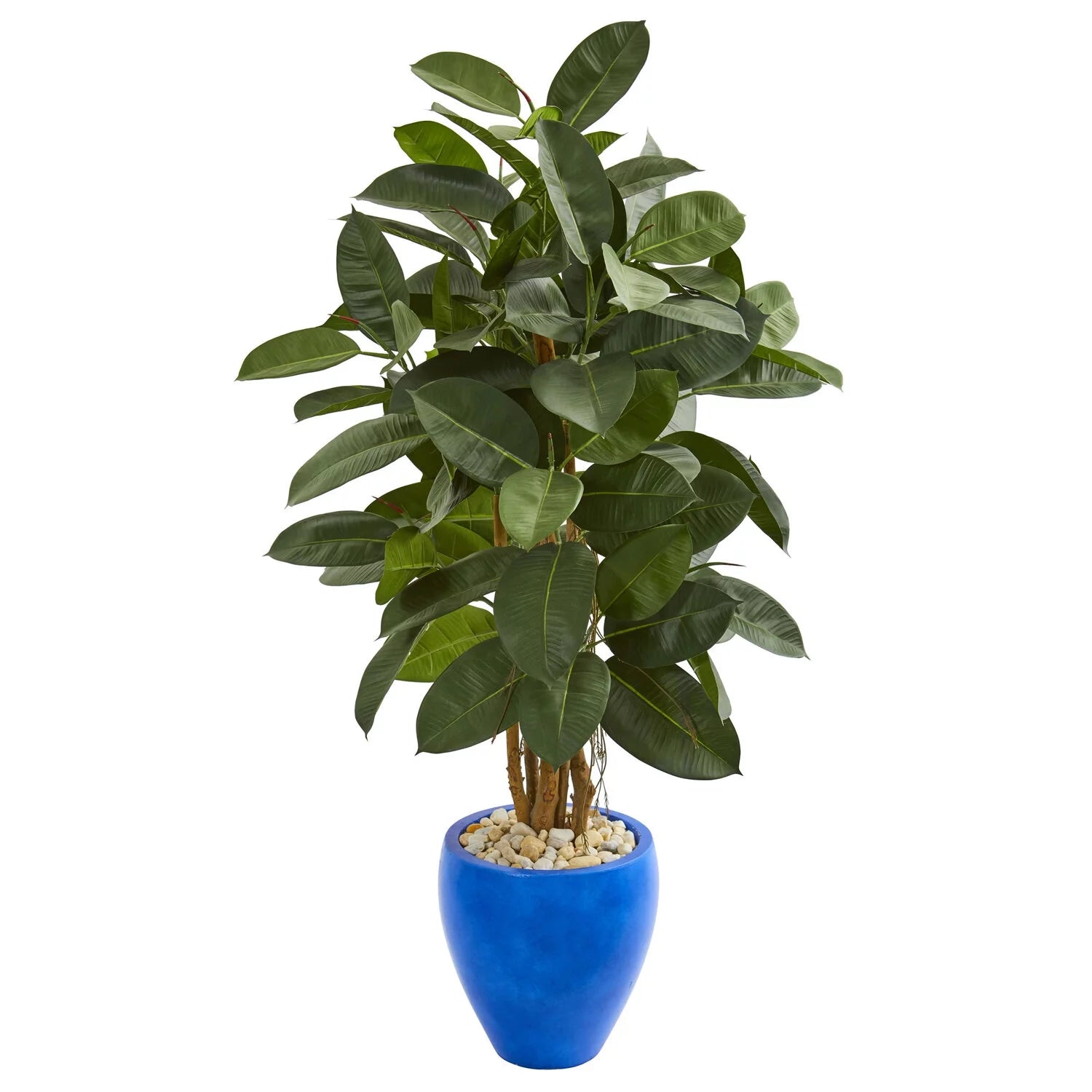53 Artificial Rubber Tree In Blue Planter 9250 By Nearly Natural