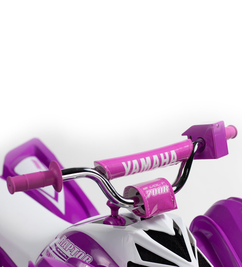 12 Volt Yamaha Raptor ATV Battery Powered Ride-on - Blue and White