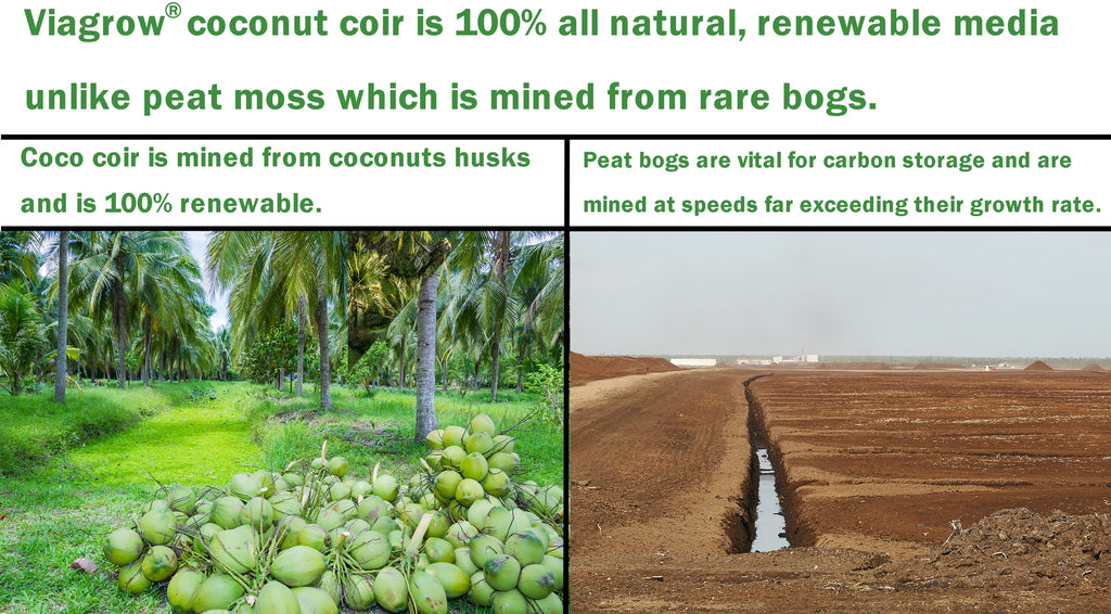 11 lb. Coconut Coir Block, Makes 18 Gallons of Soilless Grow Media
