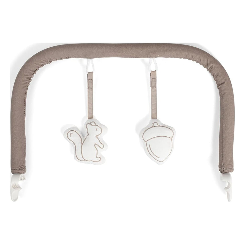 Baby Delight Alpine Deluxe Portable Baby Bouncer, for Infants 0-6 Months, Organic Oat