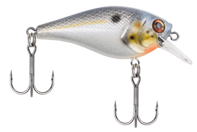 Abu Garcia 7' Vengeance Baitcast Combo Kit with Berkley Crankbaits