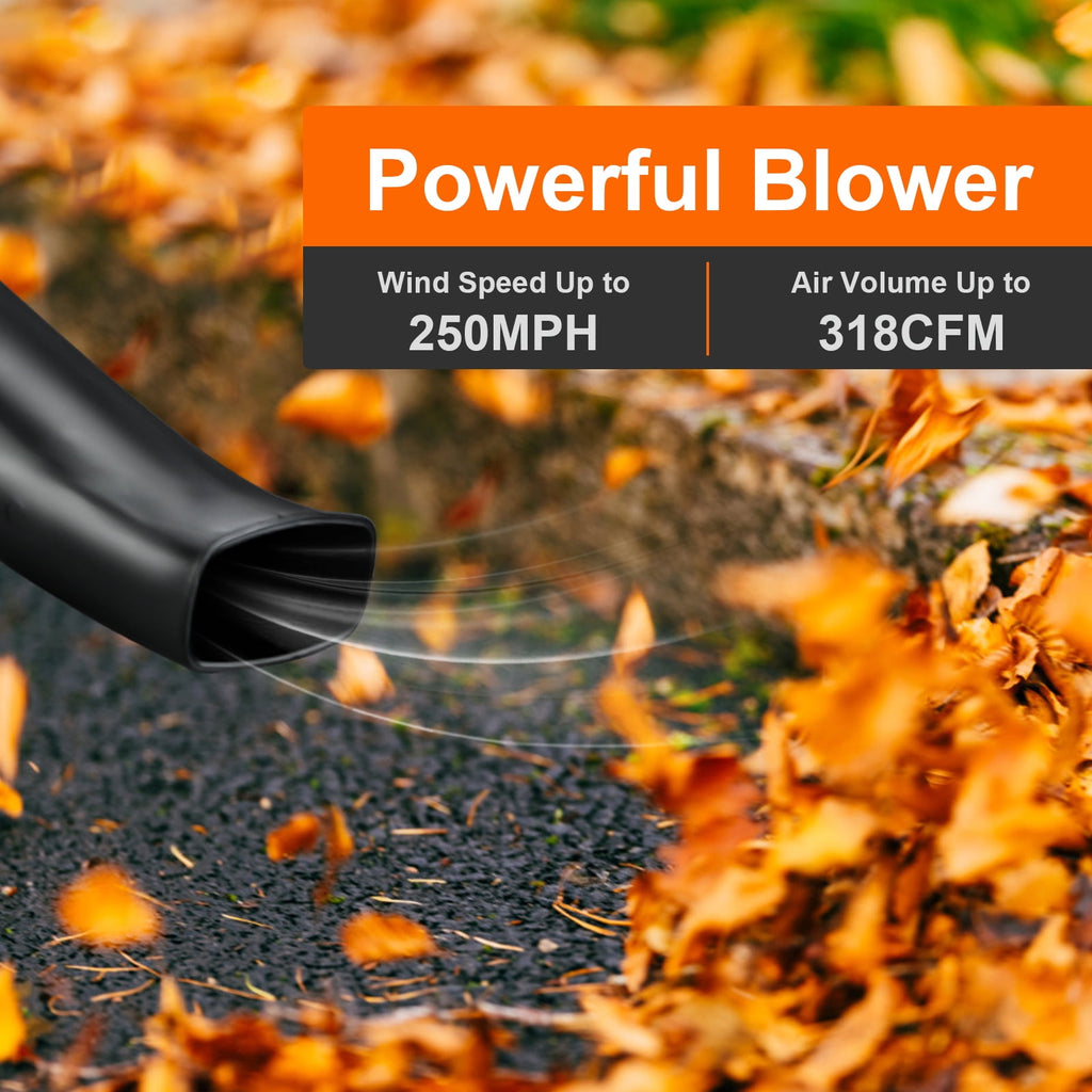 BEEDECK Cordless Leaf Blower - 450 CFM 6-Speed Electric with 20V Lithium Blower, Lightweight Leaf Blower for Patio, Lawn, Garden and Work Around House