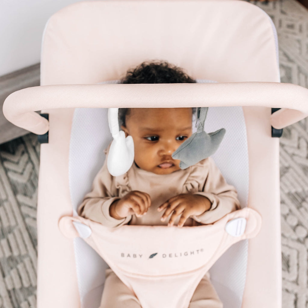 Baby Delight Alpine Deluxe Portable Infant Bouncer - for Use 0-6 Months- Quilted Indigo