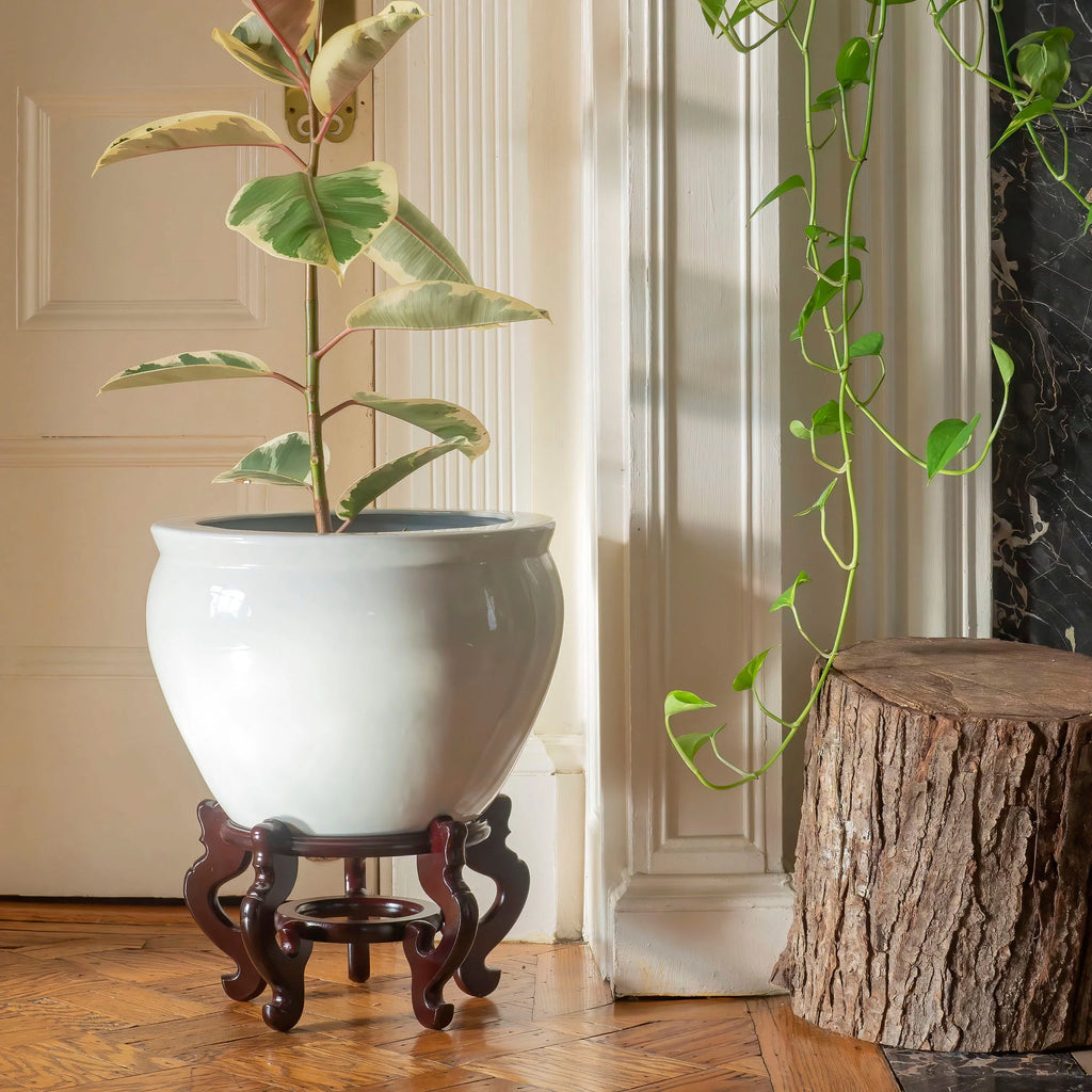 14" White Porcelain Fishbowl