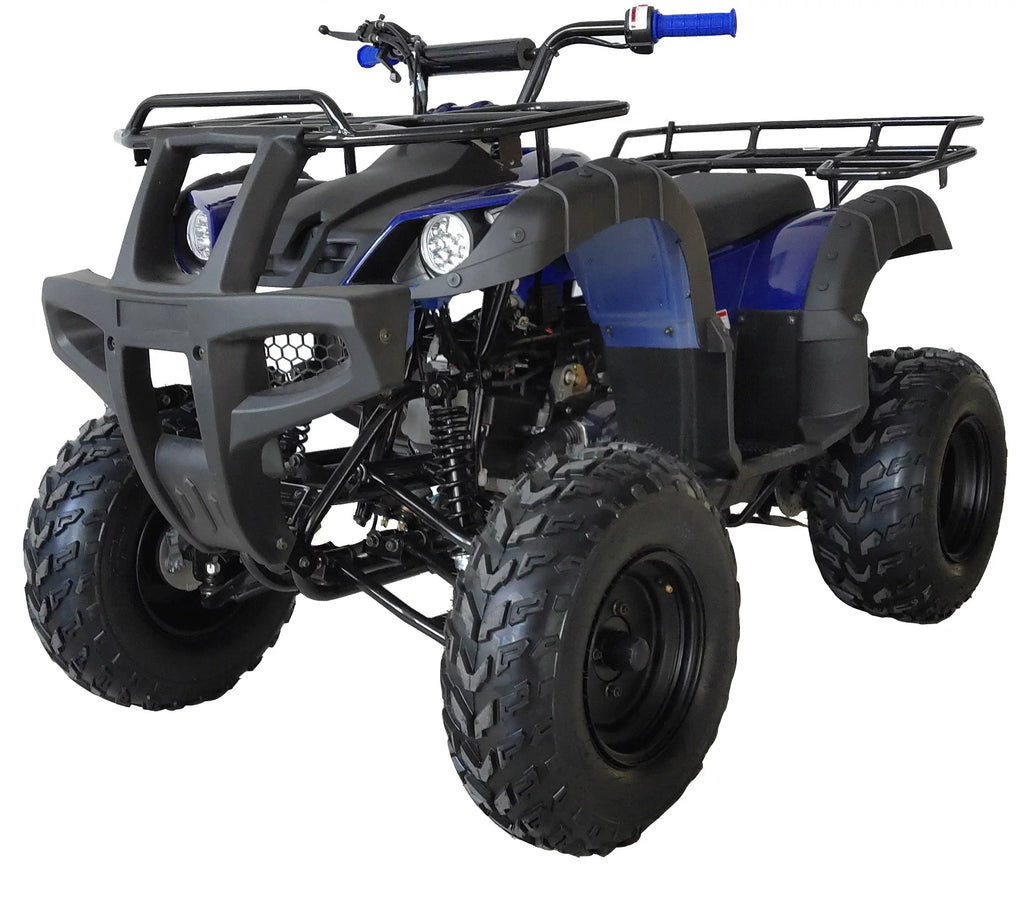 200 ATV Utility Quad Big Youth ATV Full Size ATV Automatic-Blue