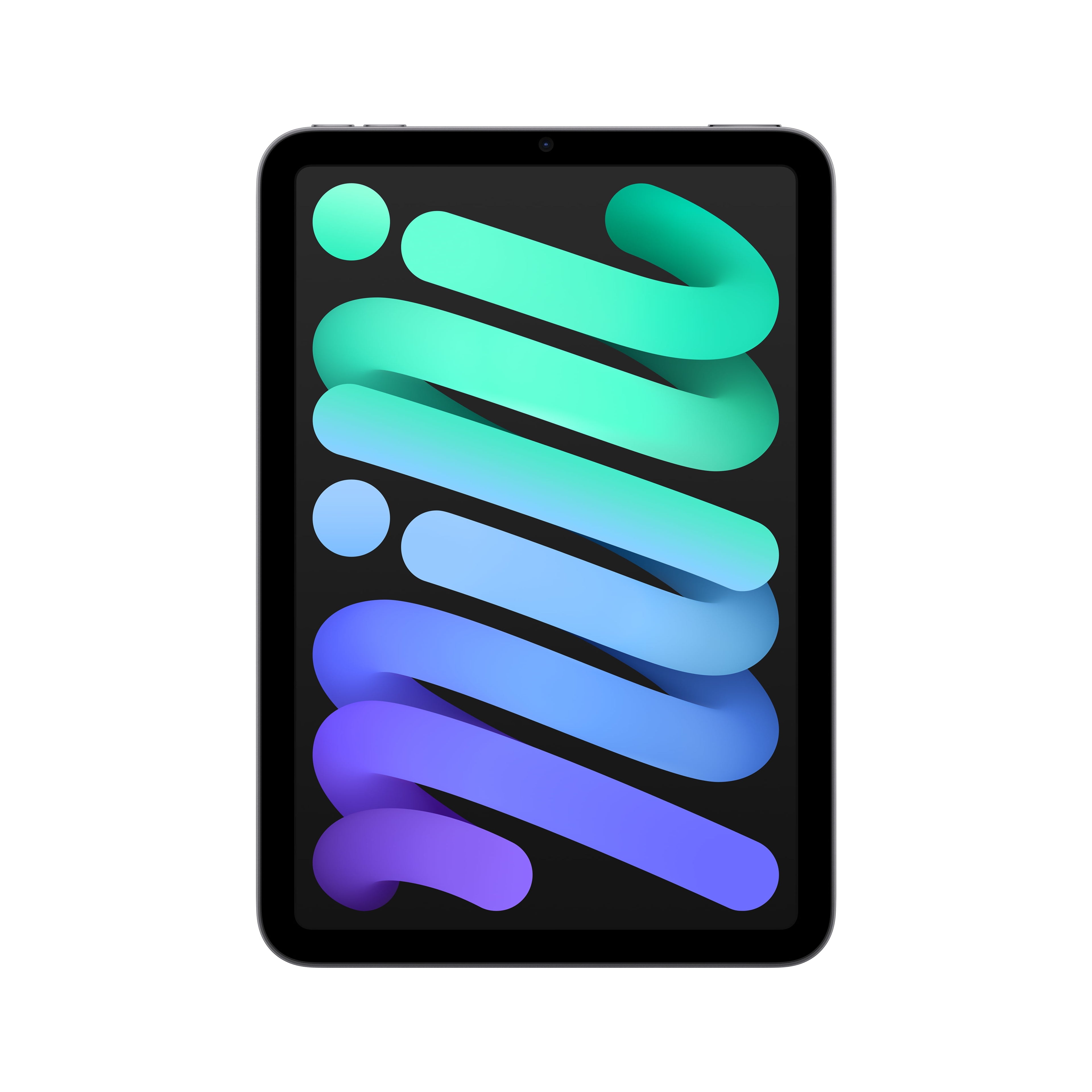 2021 Apple iPad Mini Wi-Fi 64GB - Space Gray (6th Generation)