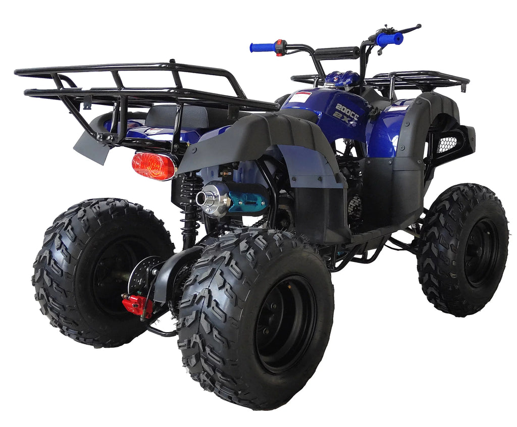 200 ATV Utility Quad Big Youth ATV Full Size ATV Automatic-Blue