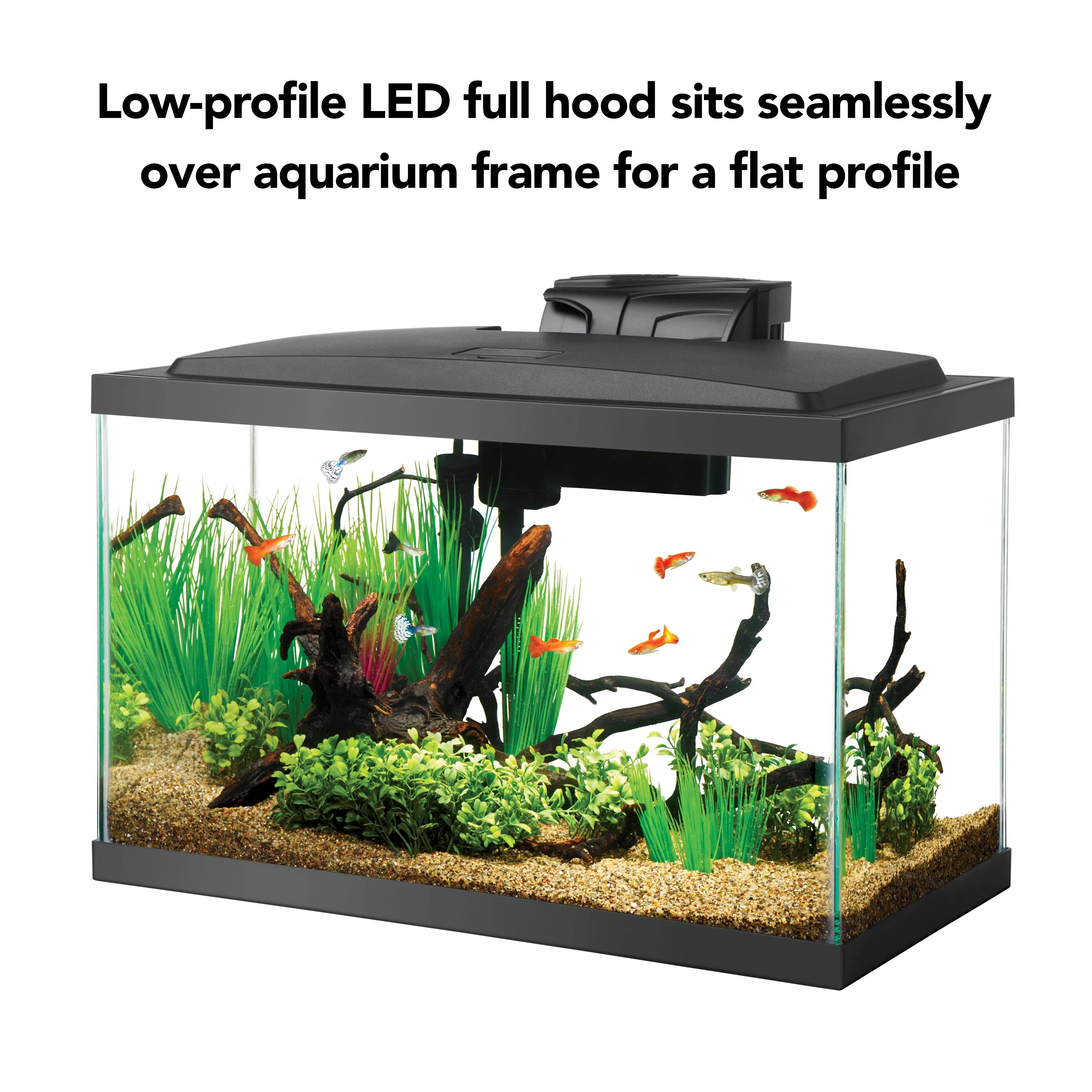 Aqueon Aquarium Starter Kit, 10 Gallon Glass Fish Tank, LED Lighting, Filter and Heater