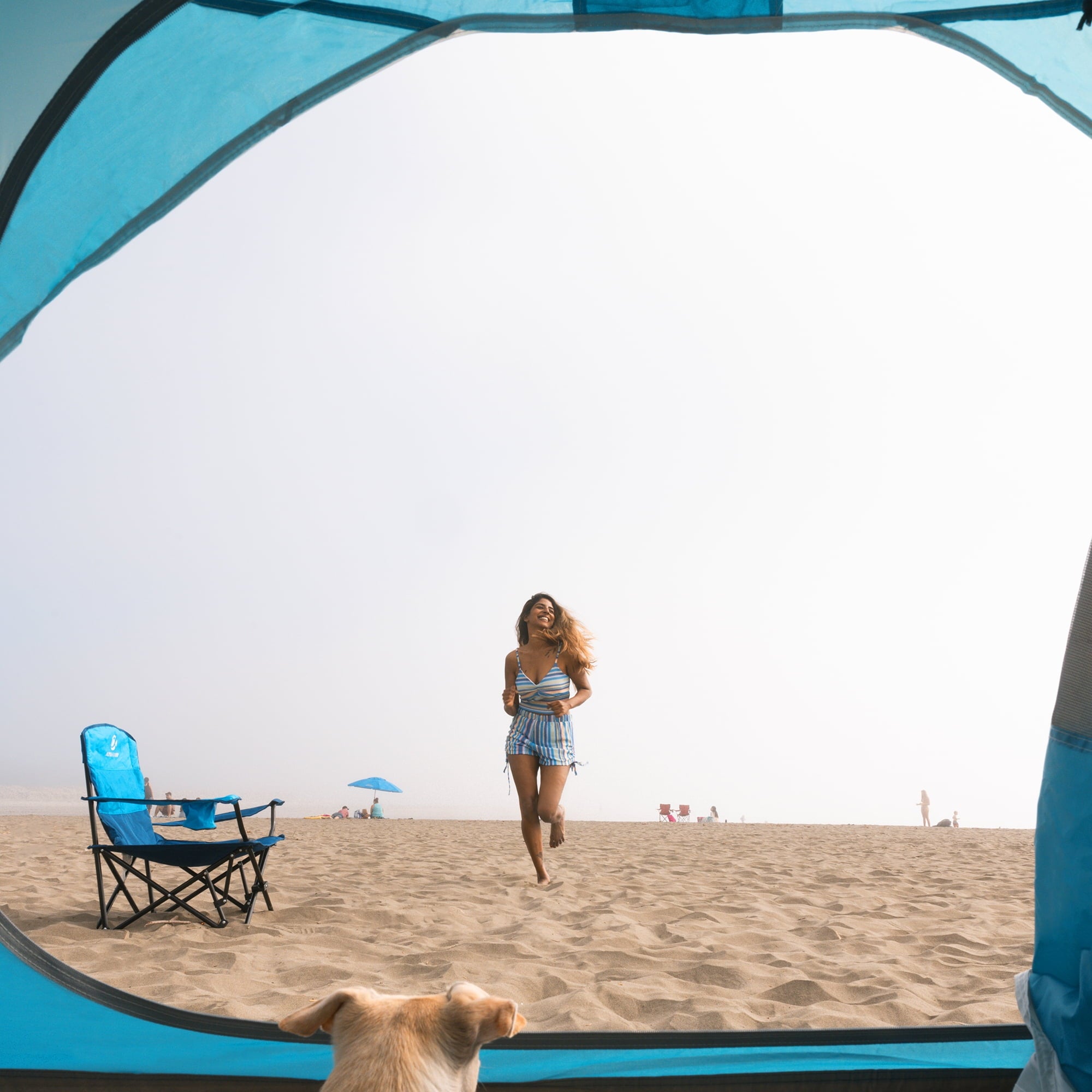 Alpha Camper 2-Person Camping Dome Tent Waterproof Portable Tent with Carry Bag, Blue