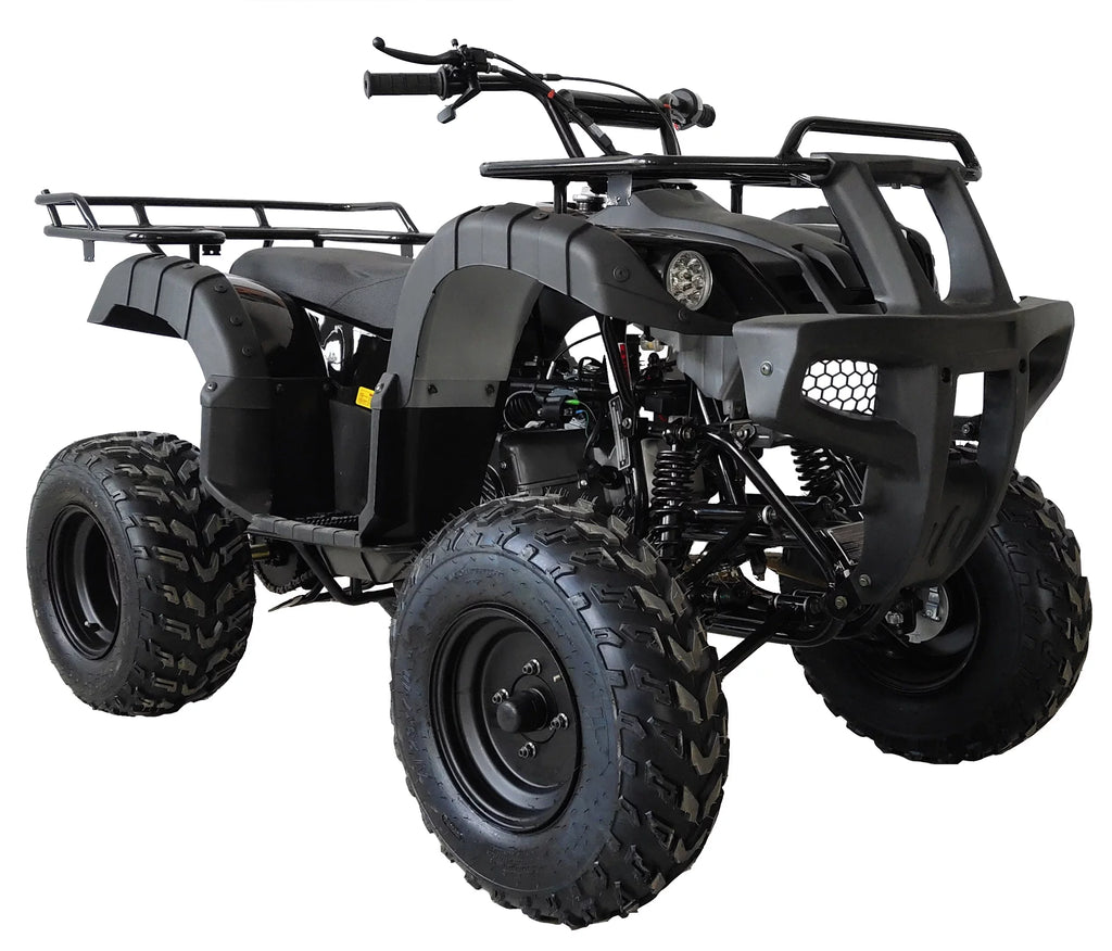 200 ATV Utility Quad Big Youth ATV Full Size ATV Automatic-Blue