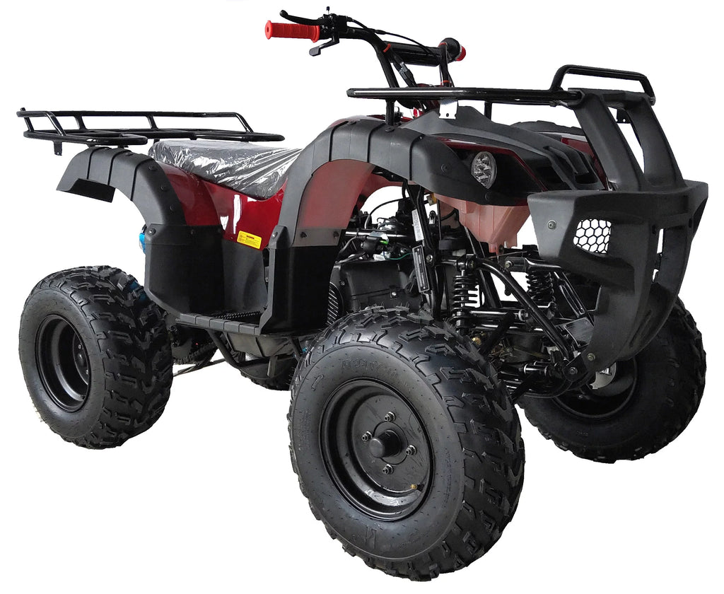 200 ATV Utility Quad Big Youth ATV Full Size ATV Automatic-Blue