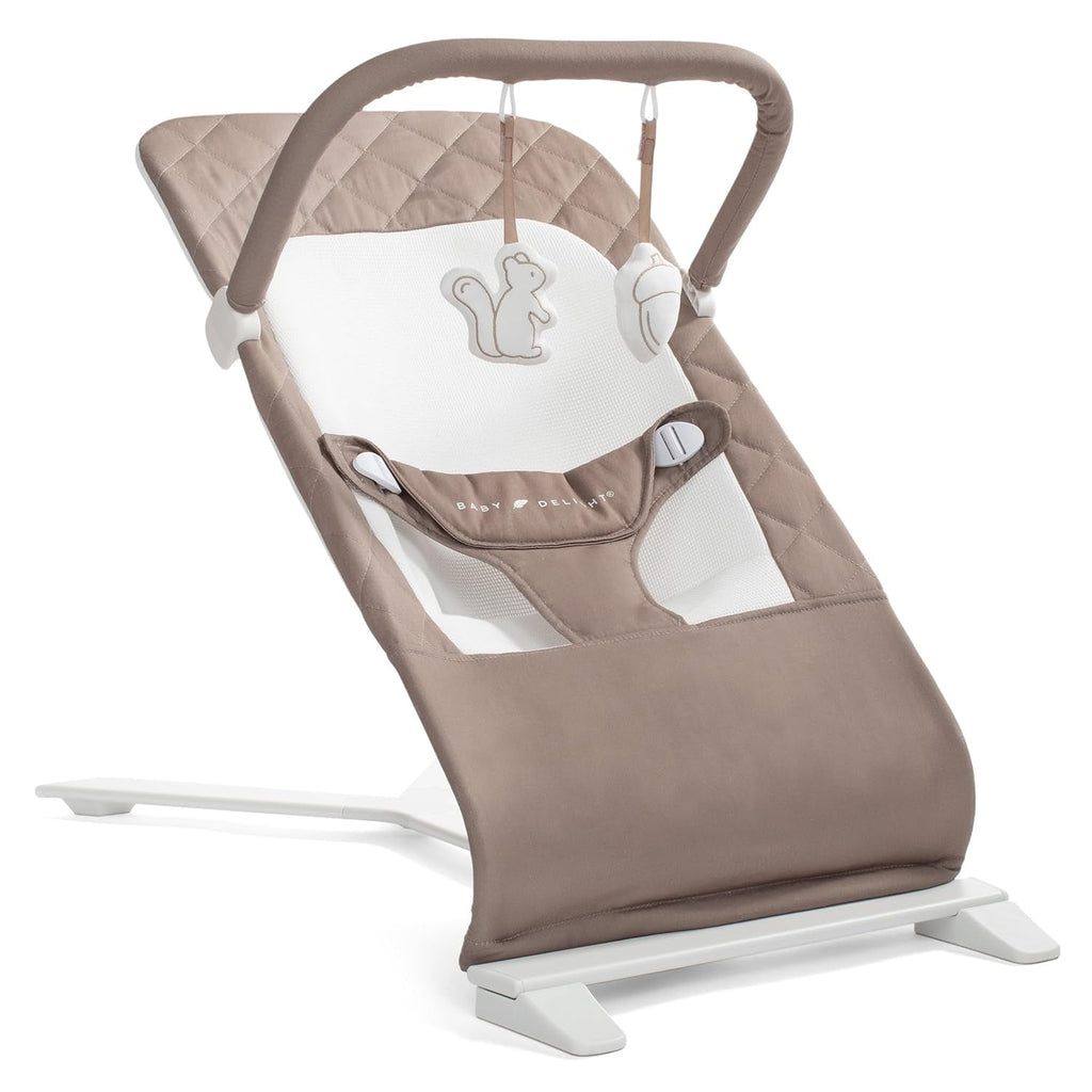 Baby Delight Alpine Deluxe Portable Baby Bouncer, for Infants 0-6 Months, Organic Oat