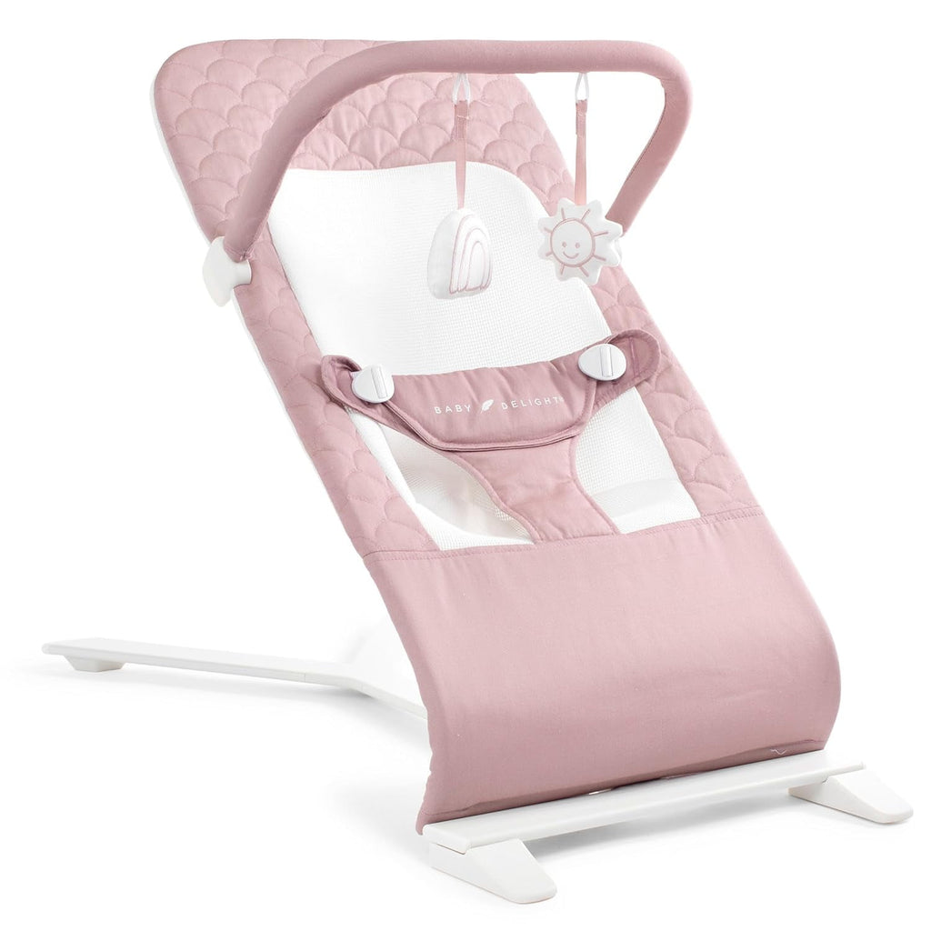 Baby Delight Alpine Deluxe Portable Baby Bouncer, for Infants 0-6 Months, Organic Oat