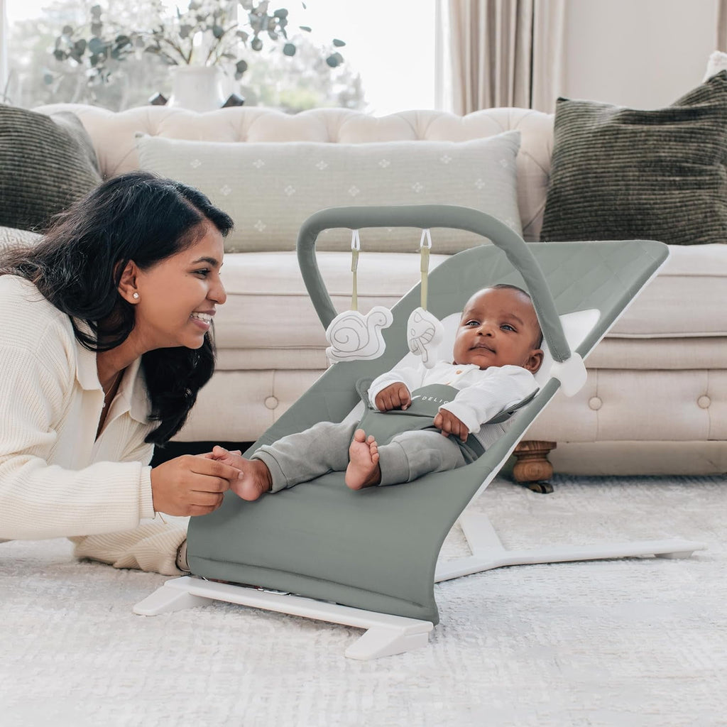 Baby Delight Alpine Deluxe Portable Baby Bouncer, for Infants 0-6 Months, Organic Oat