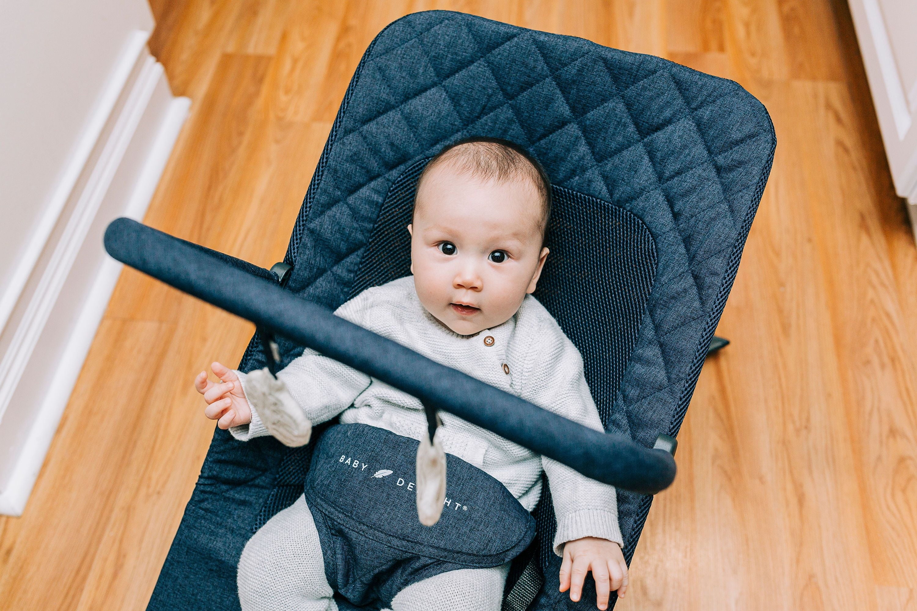 Baby Delight Alpine Deluxe Portable Infant Bouncer - for Use 0-6 Months- Quilted Indigo